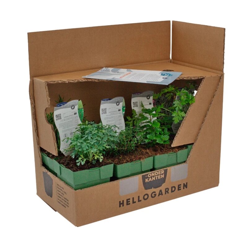 Pack pour parterre « Herb Garden » 