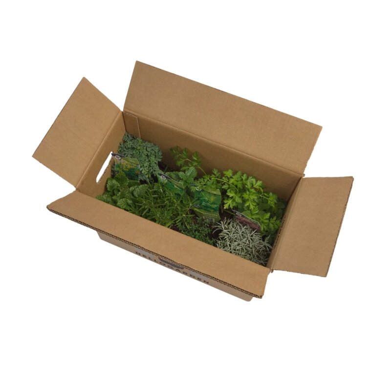 Pack pour parterre « Herb Garden » 