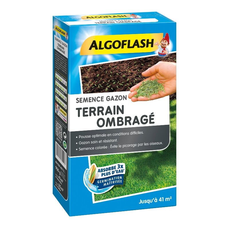 Semence Gazon Terrain Ombragé Algoflash