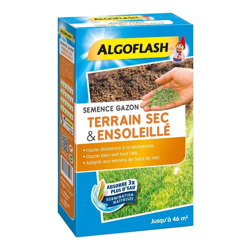 Semence Gazon Terrain Sec et Ensoleillé Algoflash