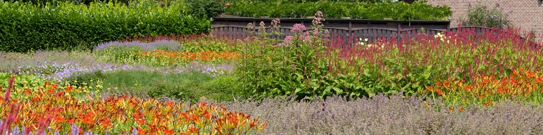 Voilà comment planter des vivaces !