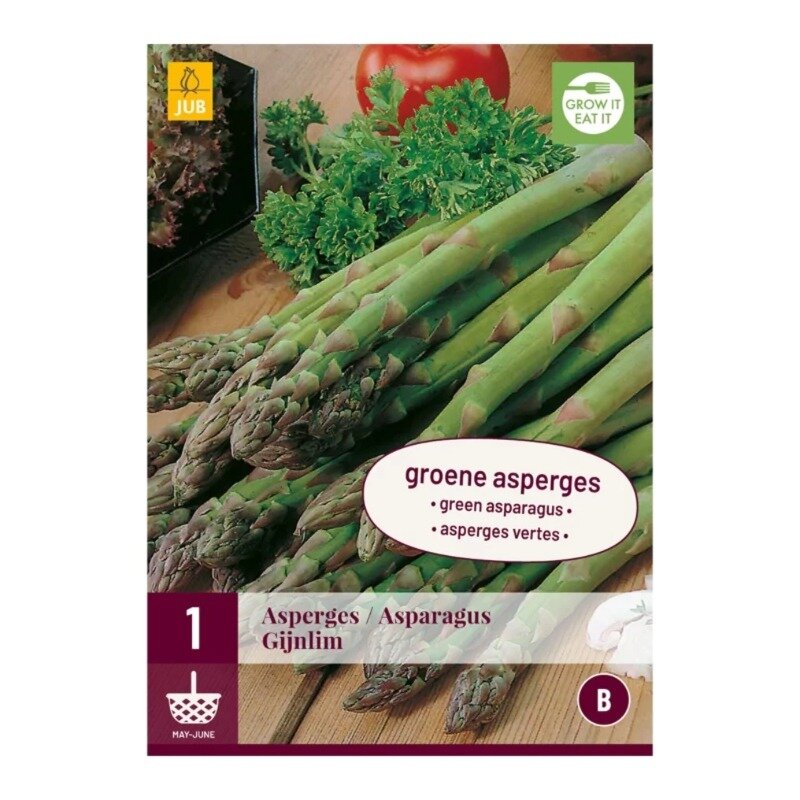 Asperge 'Gijnlim
