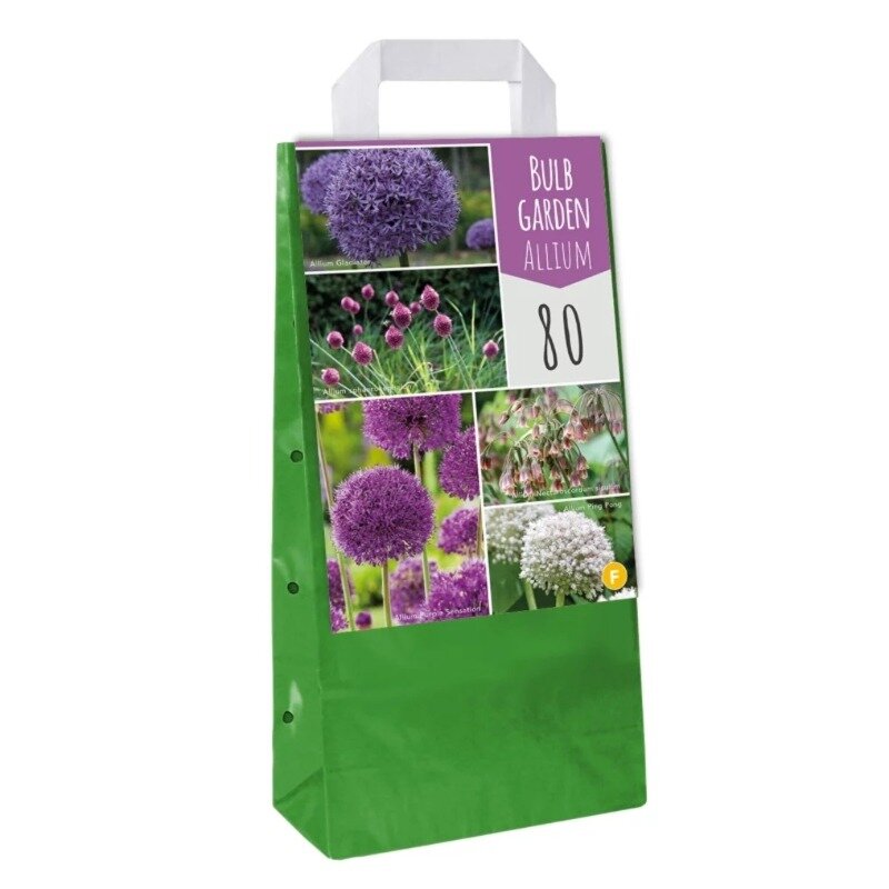 Sac à bulbes de fleurs Mélange Allium (80 pièces)