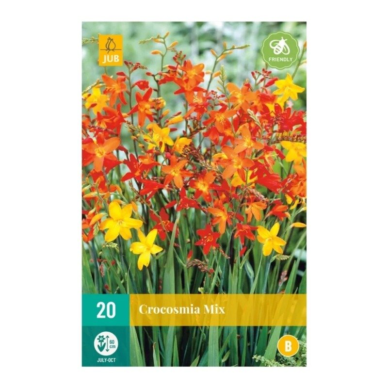 Crocosmia Mix