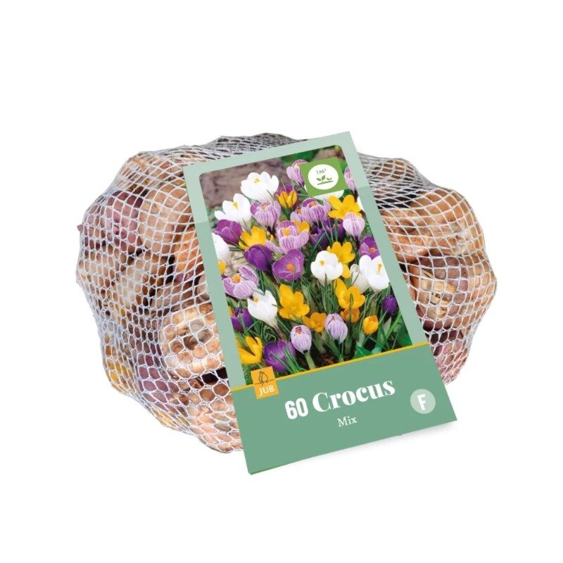 Crocus Mélange (sac en filet 60 pièces)