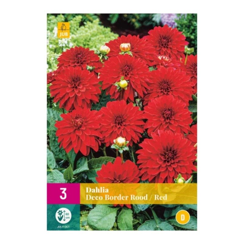 Dahlia Deco Border Rouge