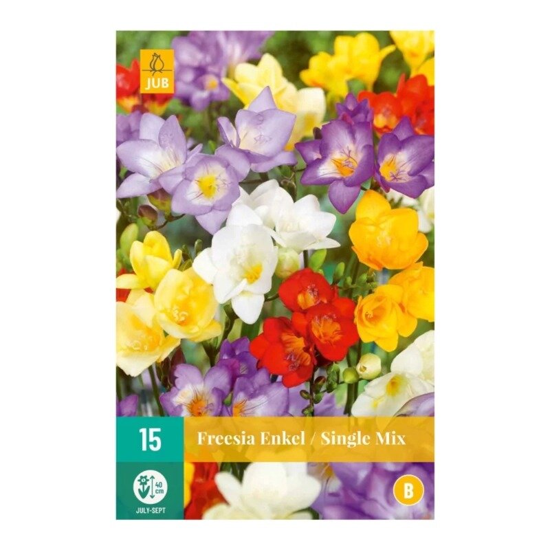 Freesia simple Mix