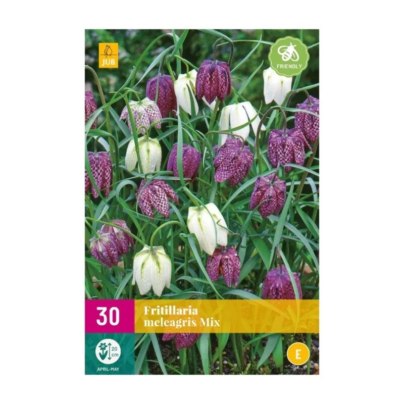 Fritillaria meleagris Mélange (sac XXL 30 pièces)