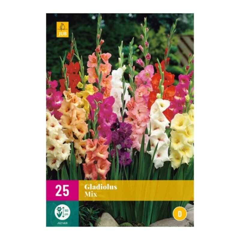 Gladiolus Mix