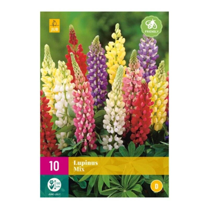 Lupinus Mix