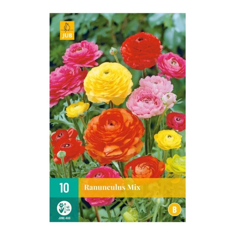 Ranunculus mix