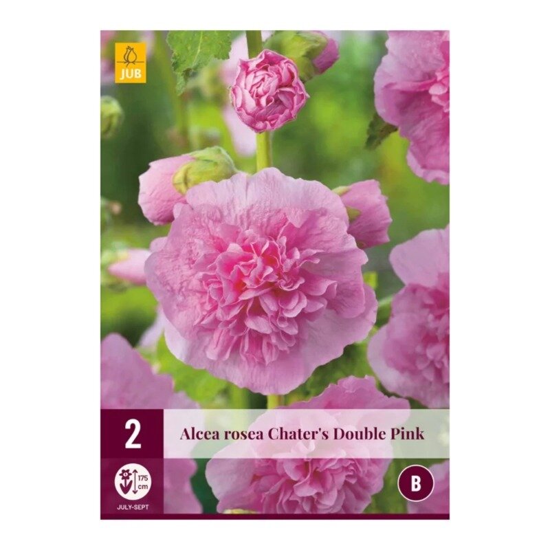 Alcea rosea Double Pink