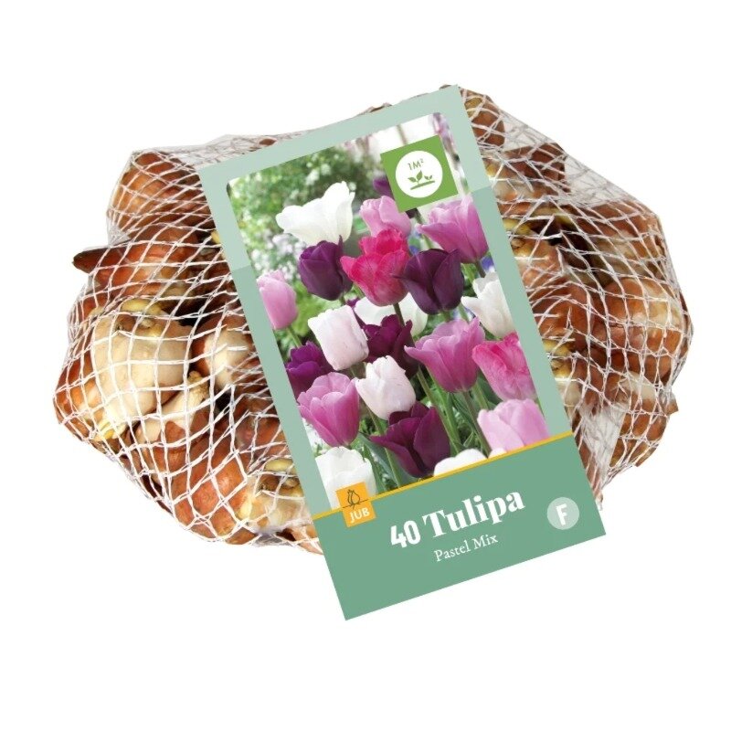 Tulipes Mélange pastel (sac en filet 40 pièces)